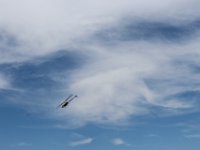 IMG 4786