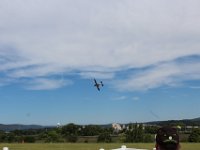 IMG 4818