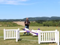 IMG 4838
